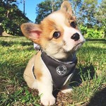 user-avatar